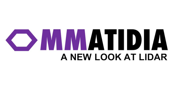 ommatidia
